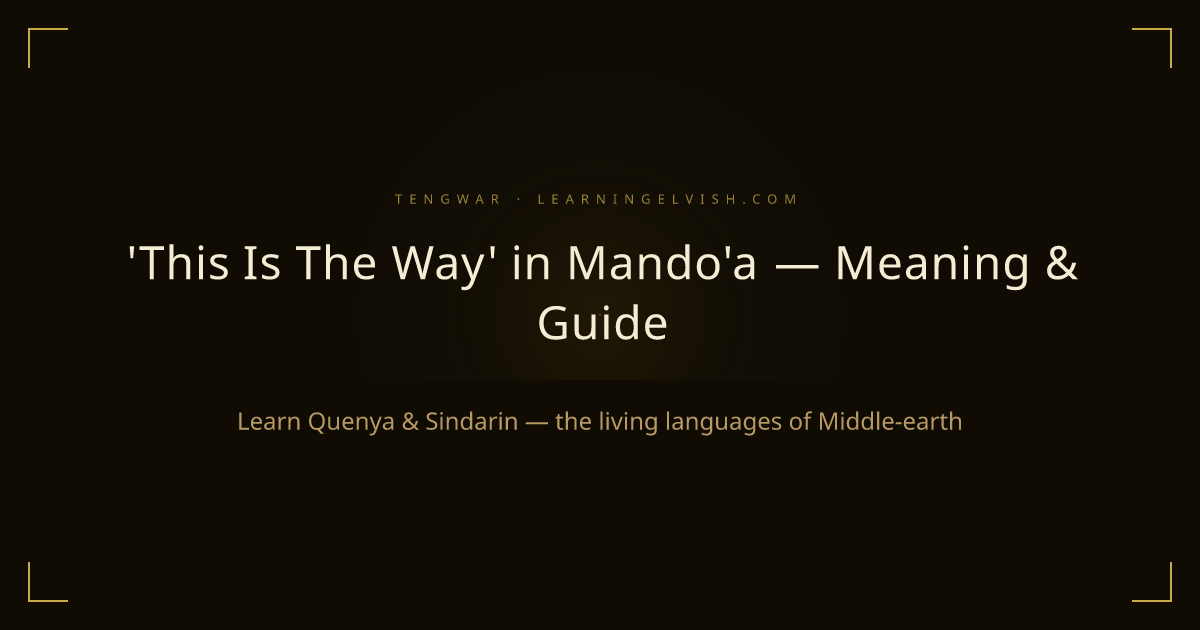 'This Is The Way' in Mando'a — Meaning & Guide